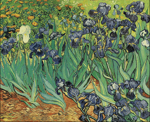 Van Gogh, Iris