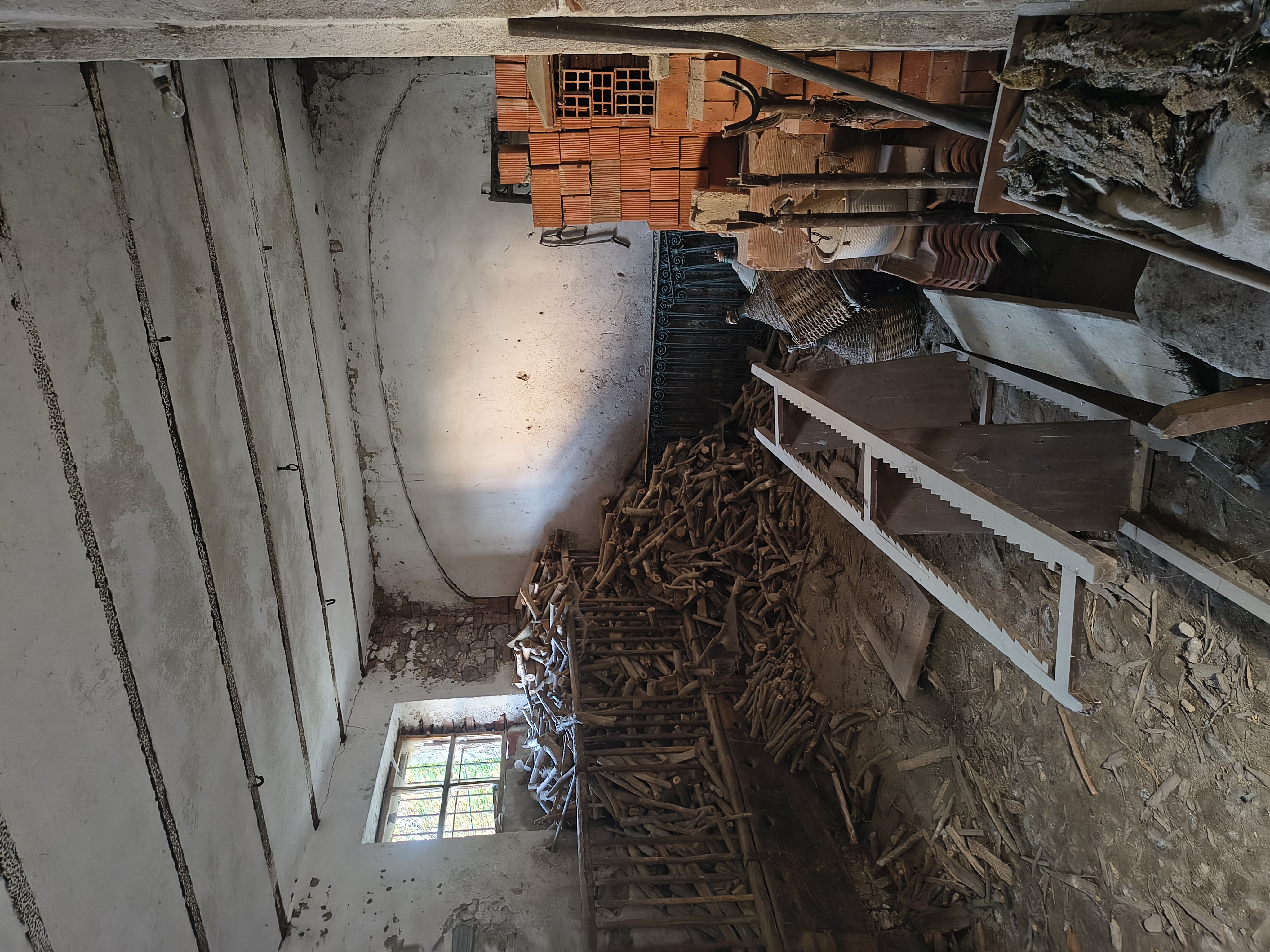IMG_20250813_075355165_HDR.jpg