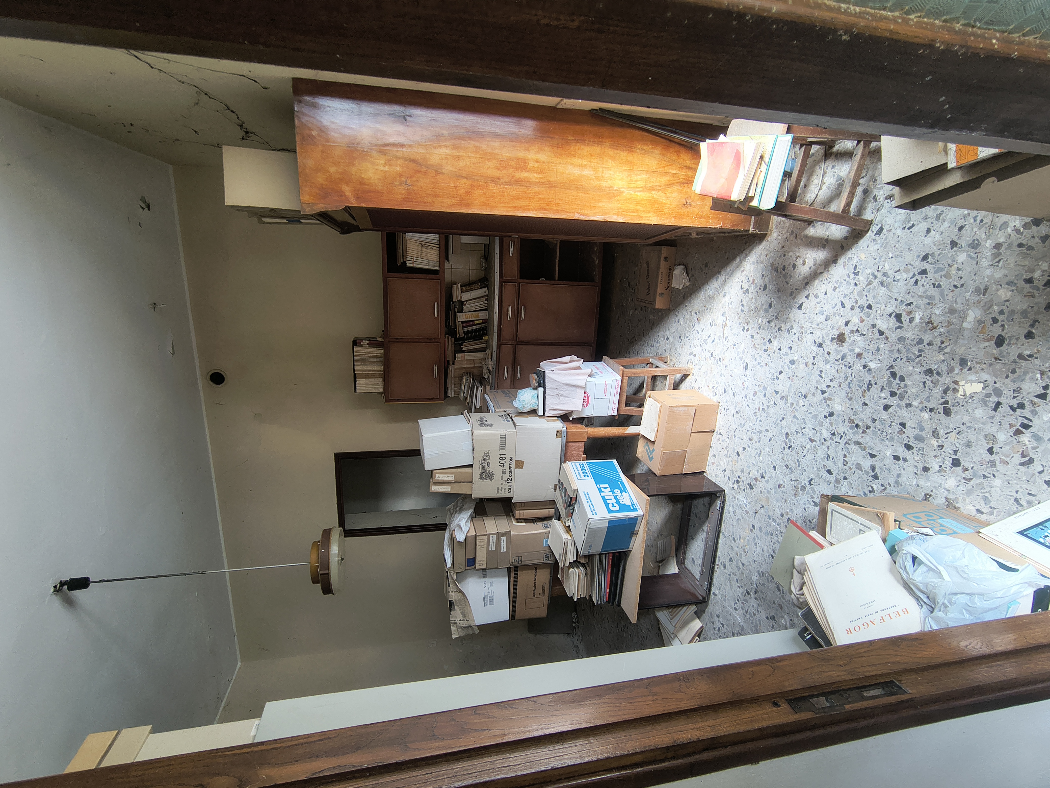 IMG_20250813_101459195_HDR.jpg